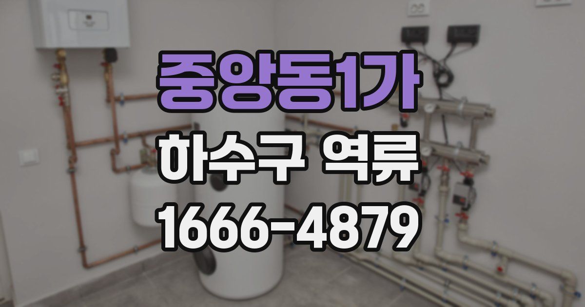 중앙동1가 하수구 역류