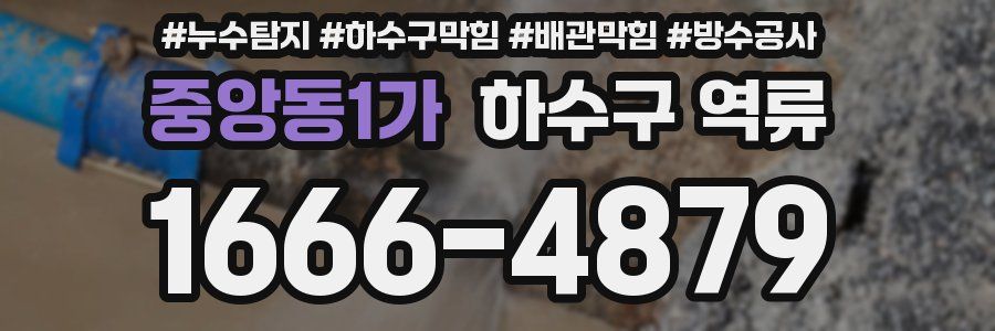 중앙동1가 하수구 역류