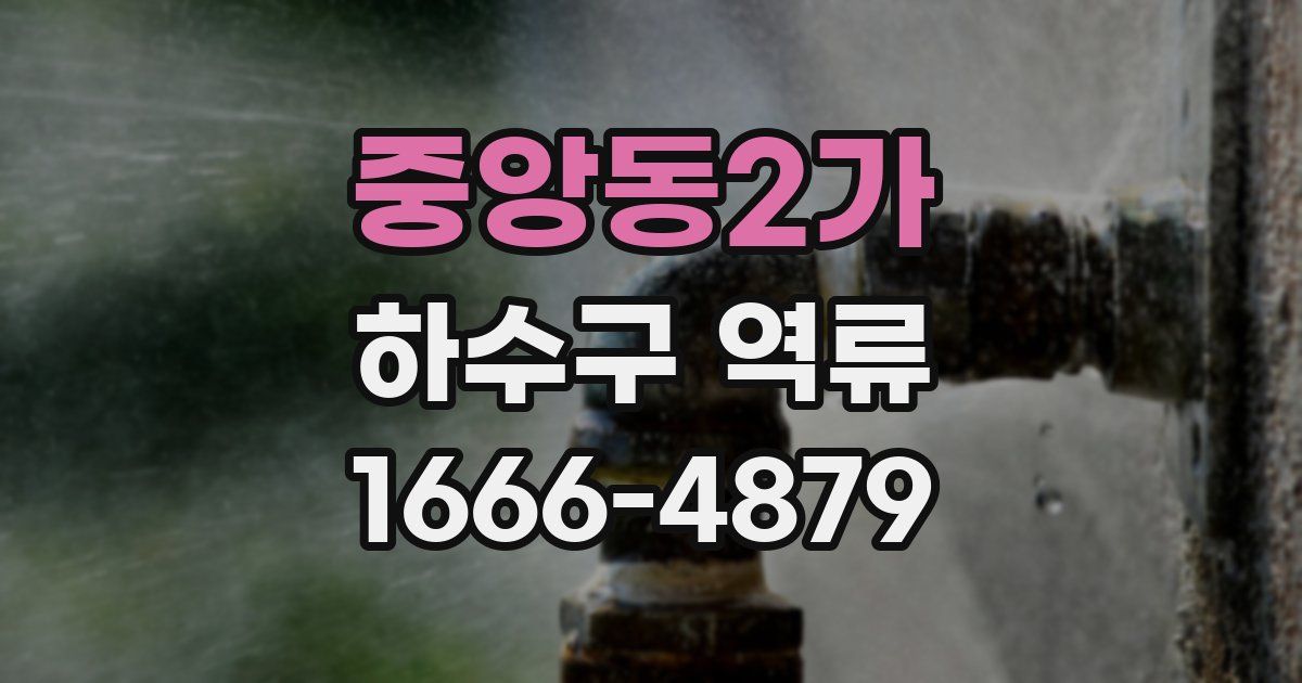 중앙동2가 하수구 역류