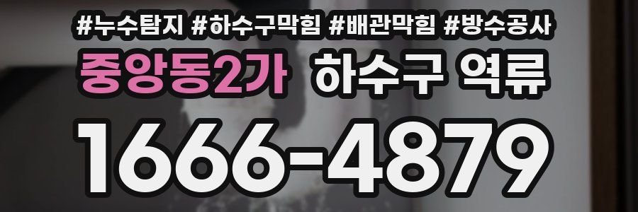 중앙동2가 하수구 역류
