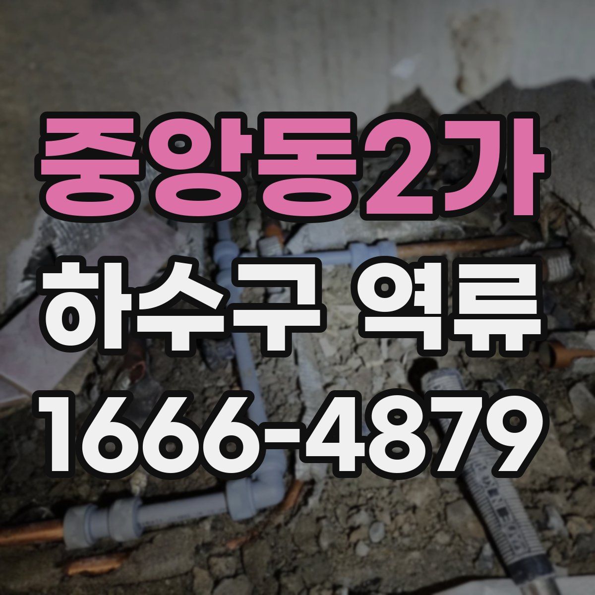 중앙동2가 하수구 역류