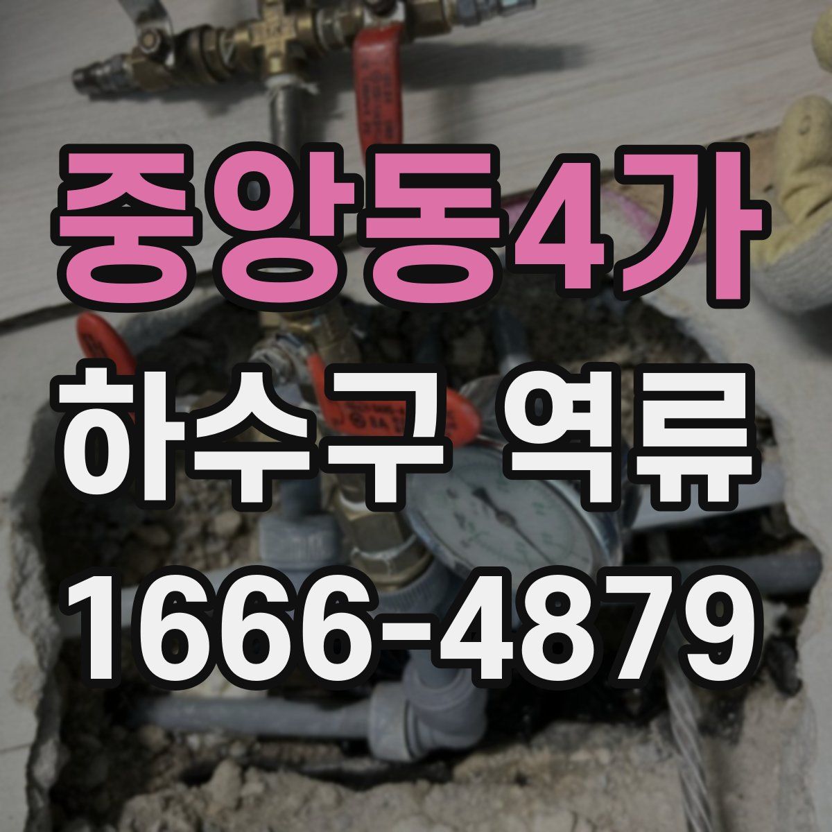 중앙동4가 하수구 역류