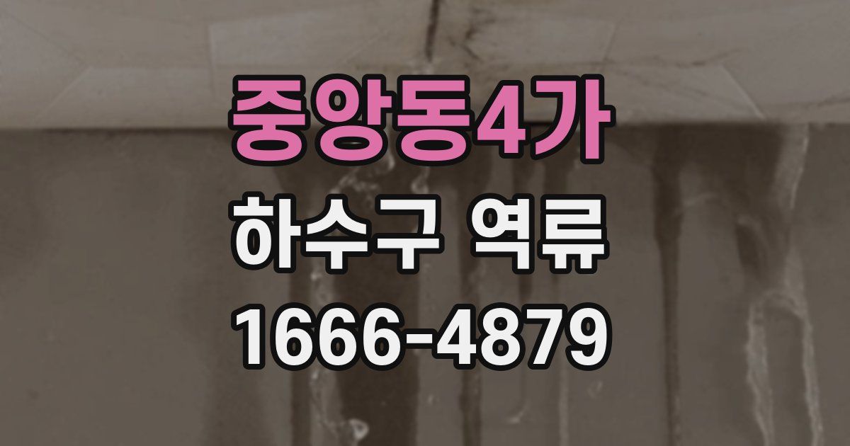 중앙동4가 하수구 역류