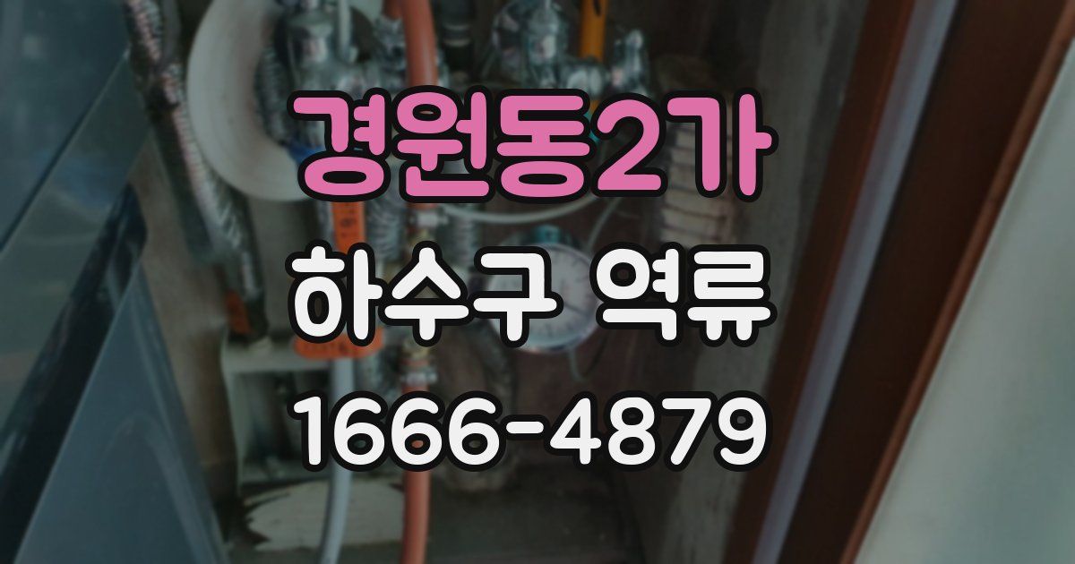 경원동2가 하수구 역류