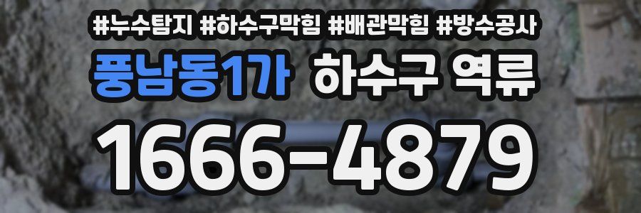 풍남동1가 하수구 역류
