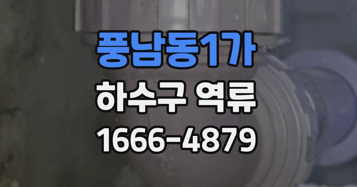 풍남동1가 하수구 역류
