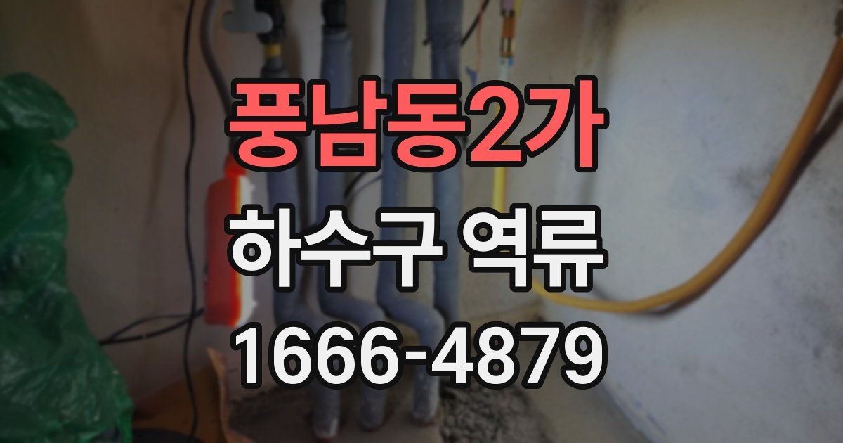 풍남동2가 하수구 역류
