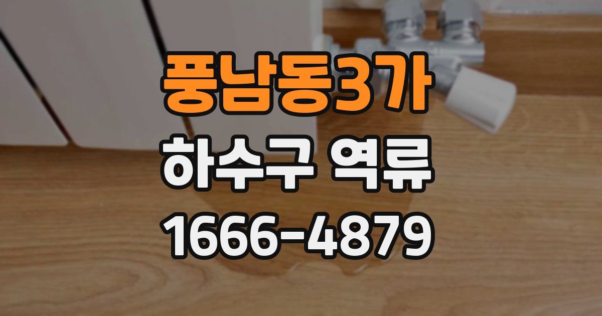 풍남동3가 하수구 역류