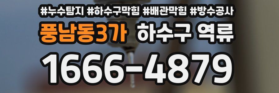 풍남동3가 하수구 역류