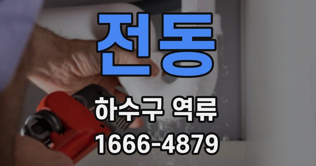 전동 하수구 역류