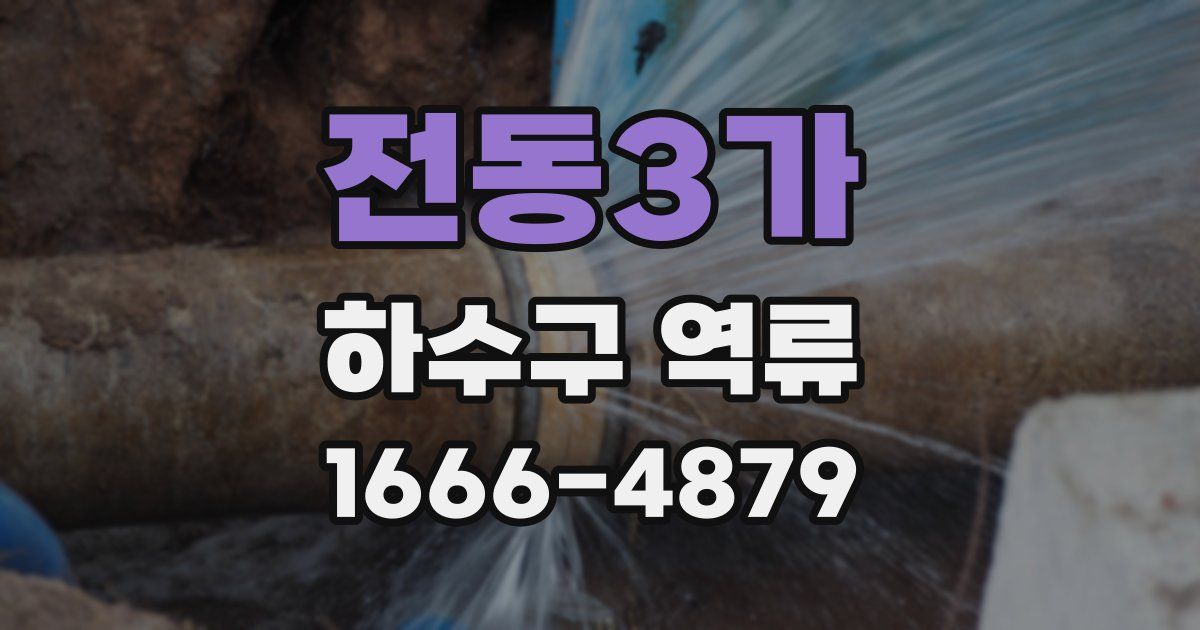 전동3가 하수구 역류
