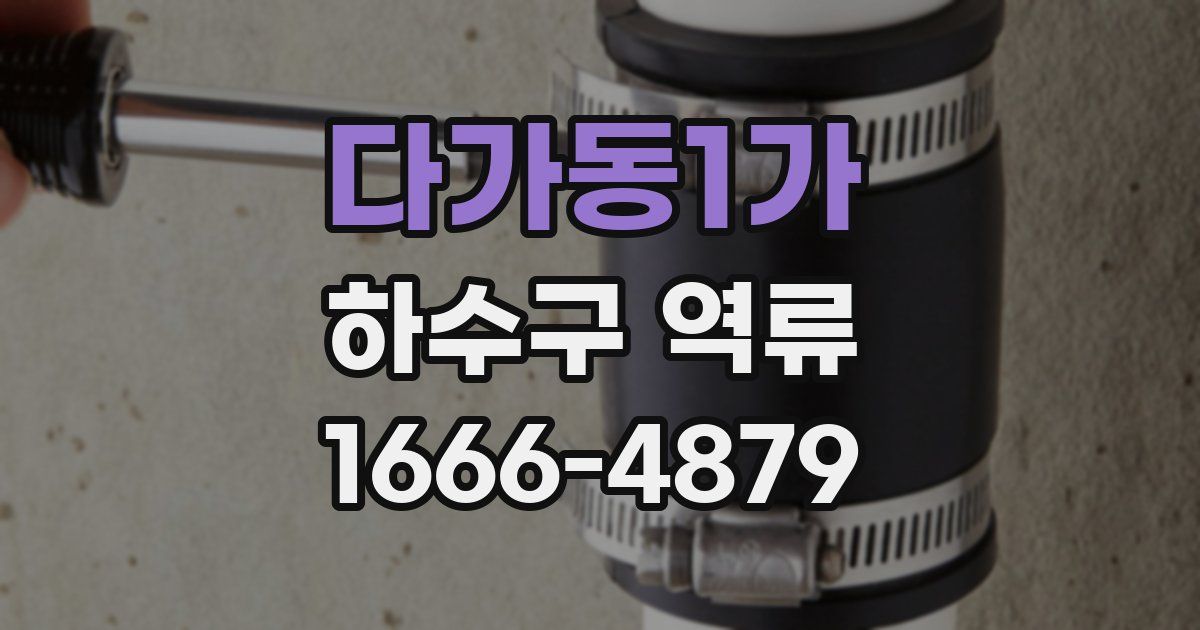 다가동1가 하수구 역류