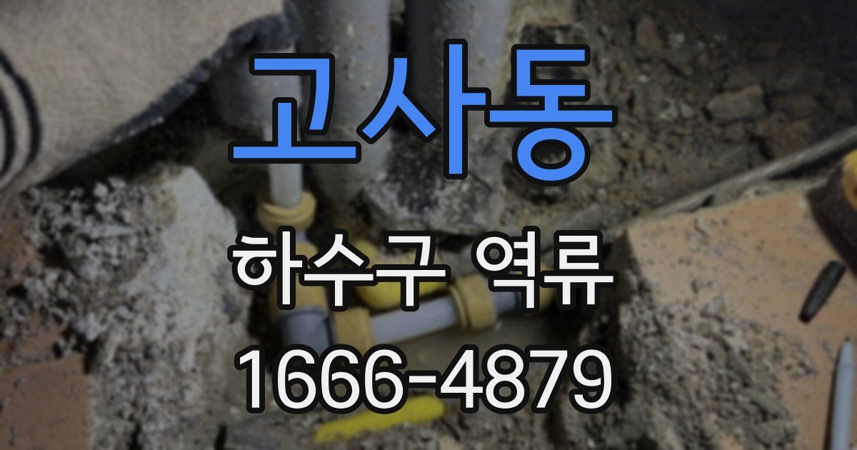 고사동 하수구 역류