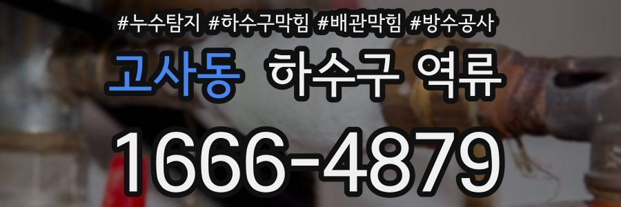 고사동 하수구 역류