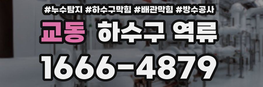 교동 하수구 역류