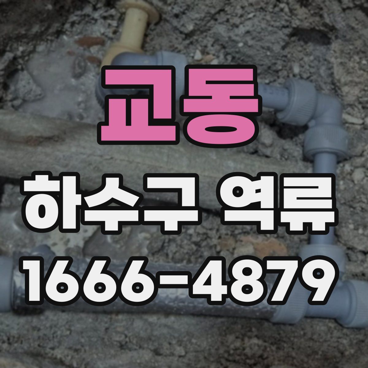 교동 하수구 역류