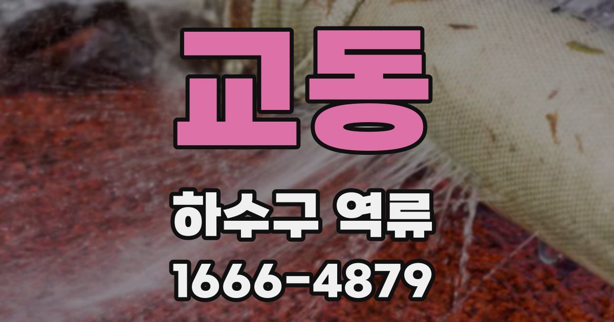 교동 하수구 역류