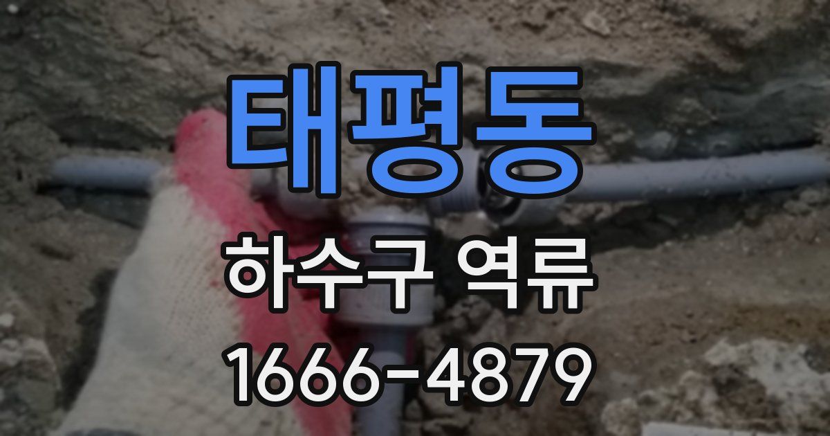 태평동 하수구 역류