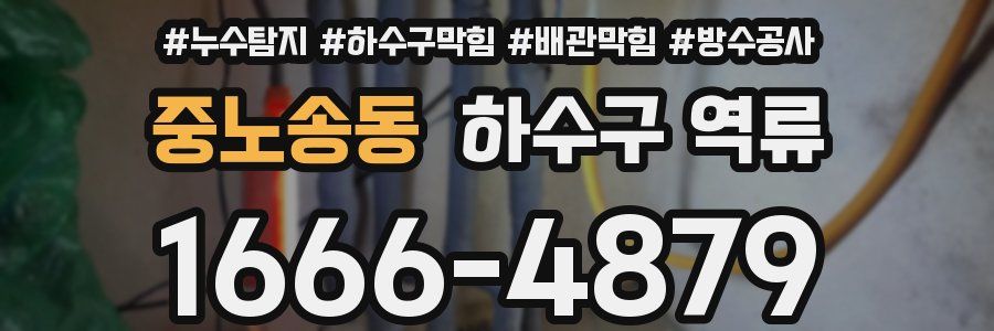 중노송동 하수구 역류