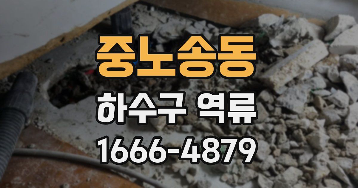 중노송동 하수구 역류