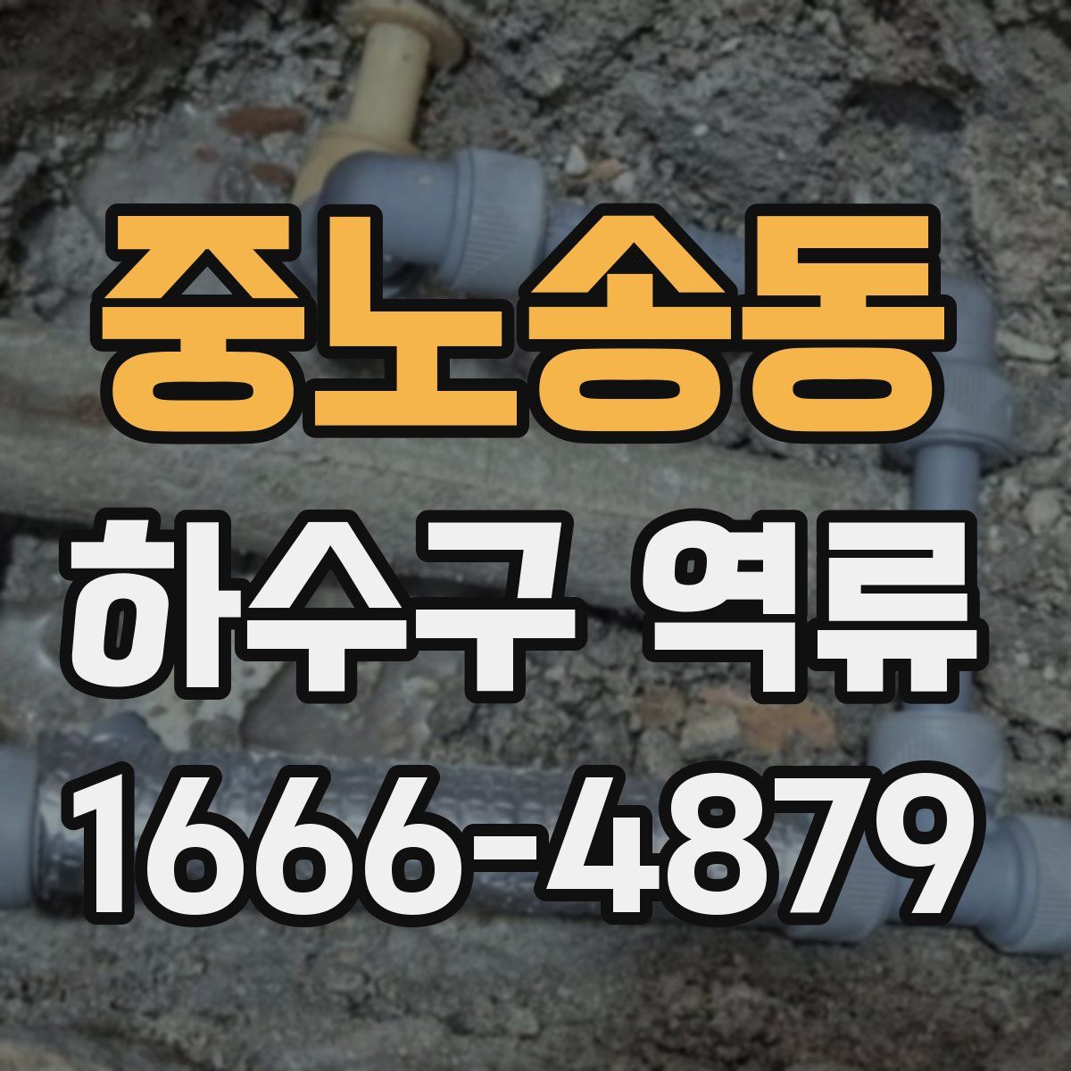 중노송동 하수구 역류
