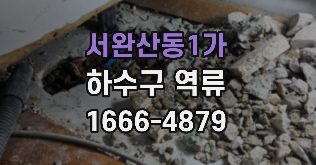 서완산동1가 하수구 역류