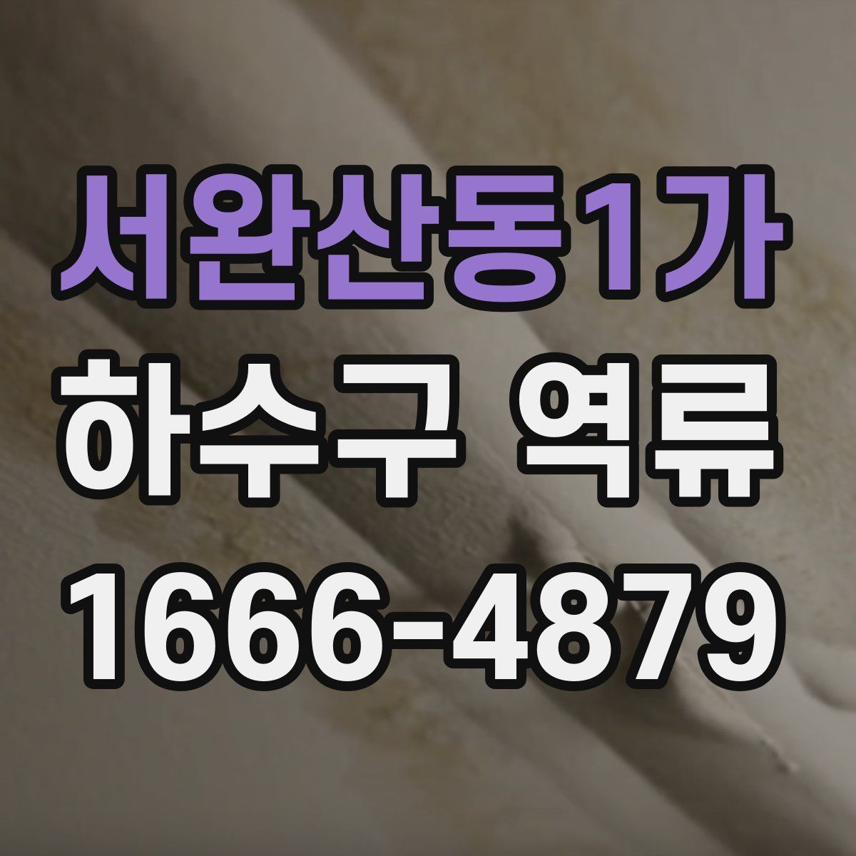 서완산동1가 하수구 역류