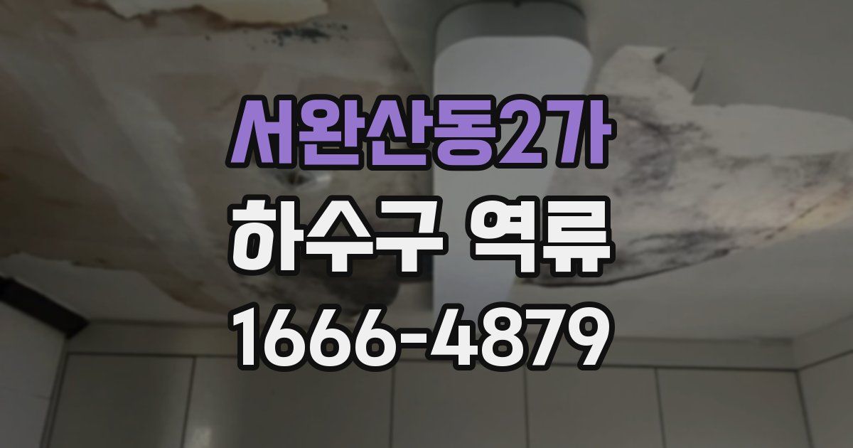 서완산동2가 하수구 역류