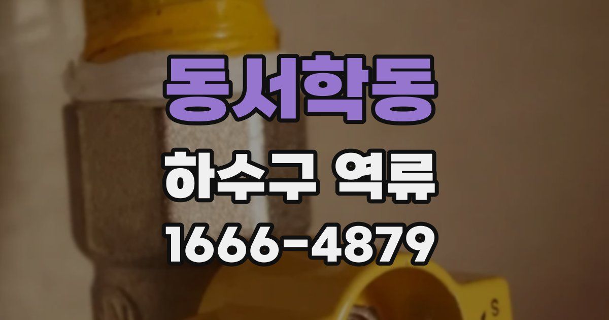 동서학동 하수구 역류