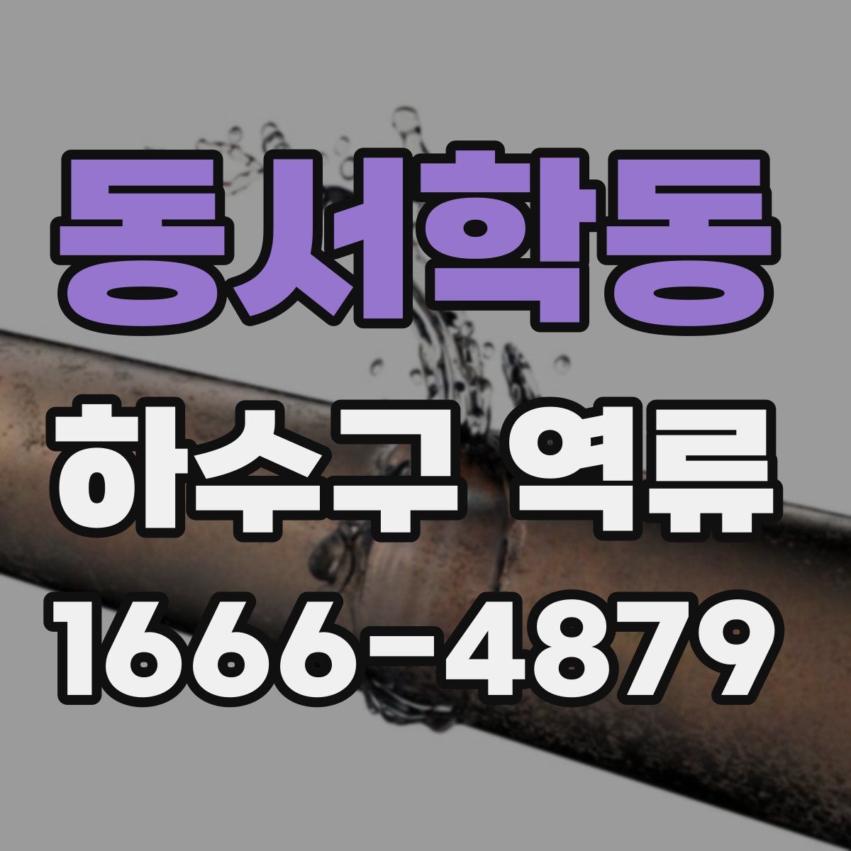 동서학동 하수구 역류