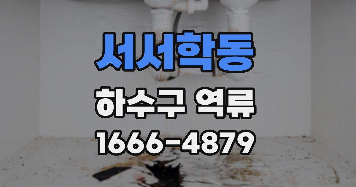 서서학동 하수구 역류