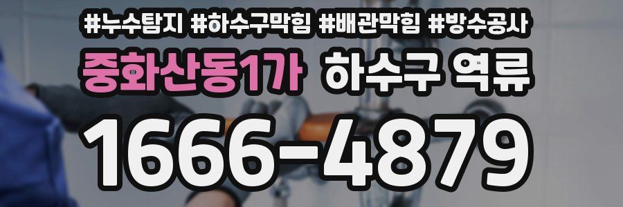 중화산동1가 하수구 역류