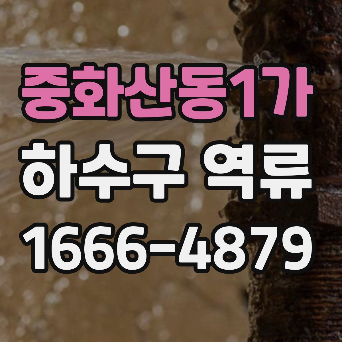 중화산동1가 하수구 역류