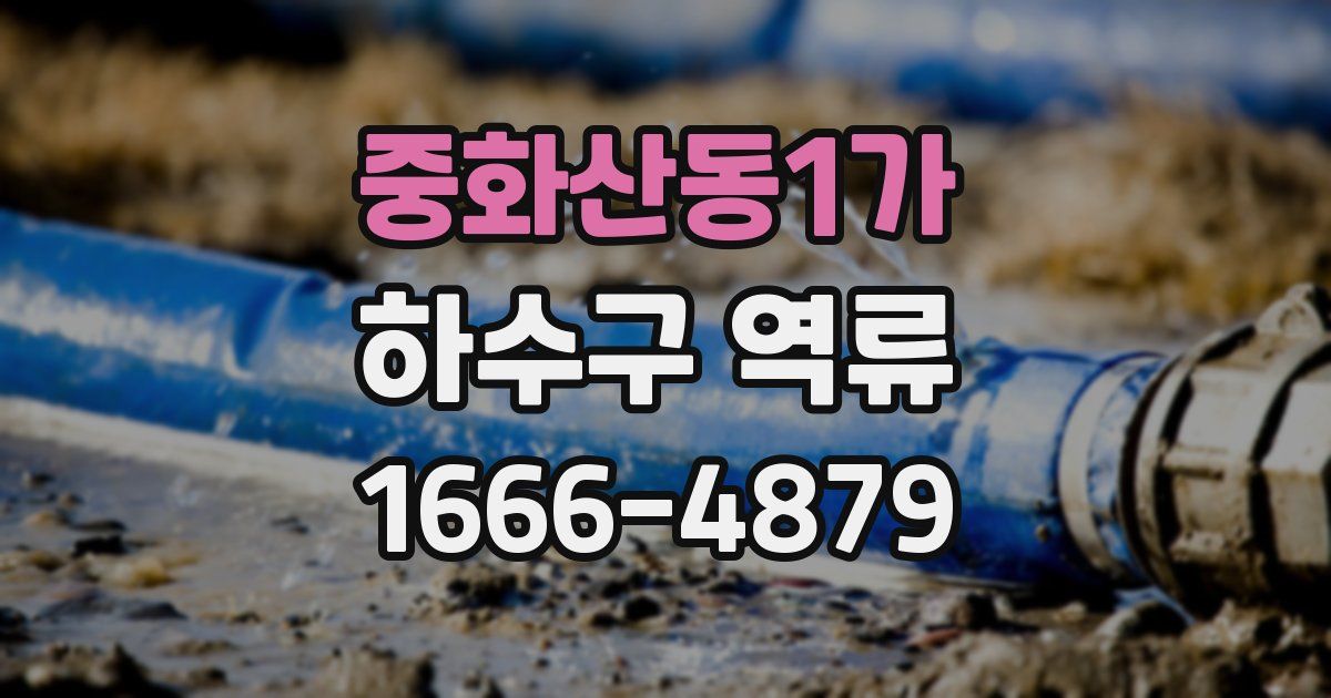 중화산동1가 하수구 역류