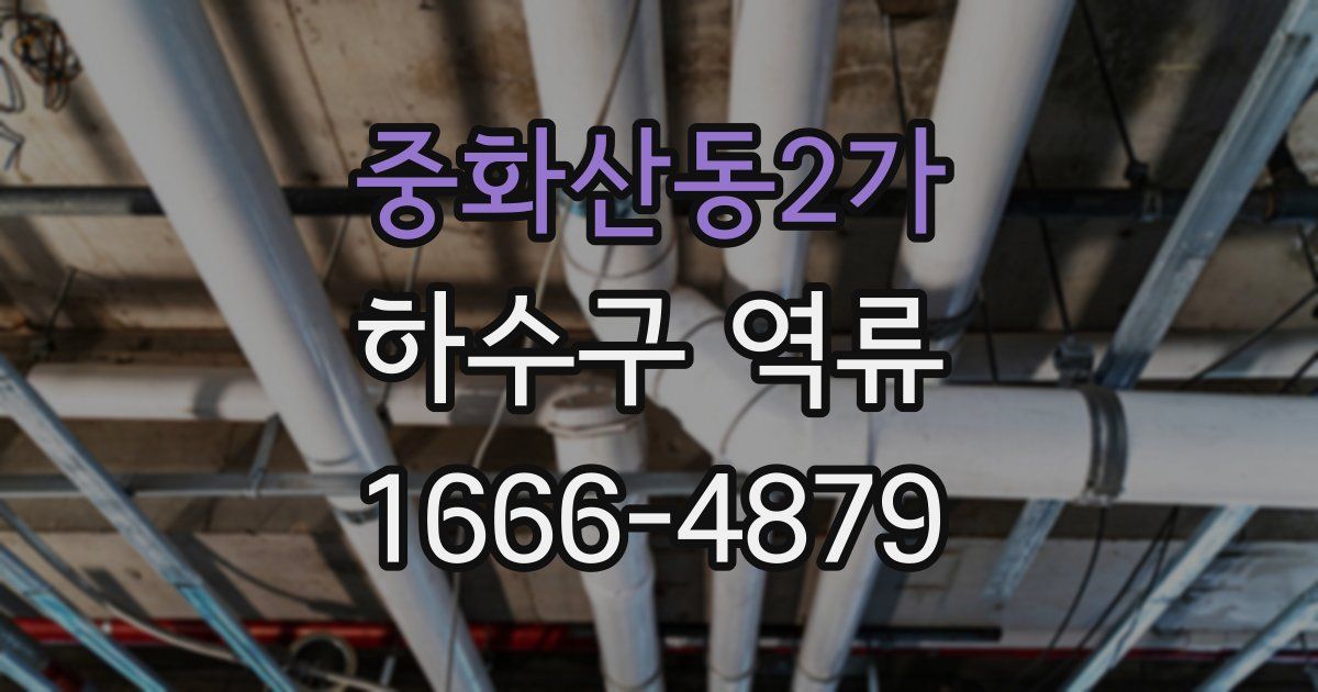 중화산동2가 하수구 역류