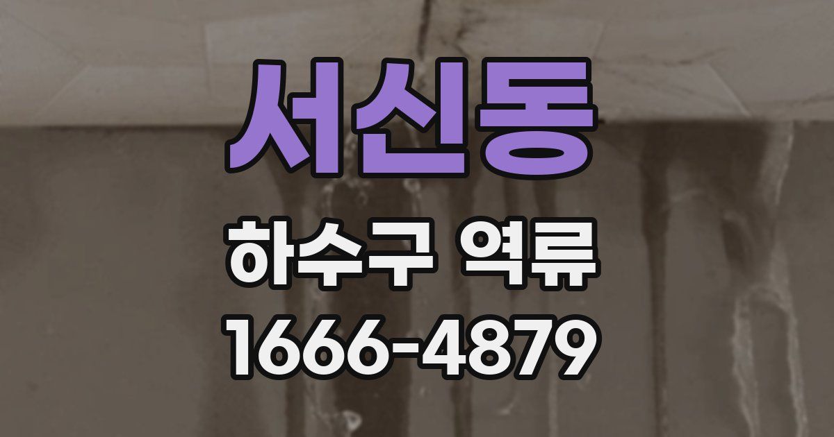 서신동 하수구 역류