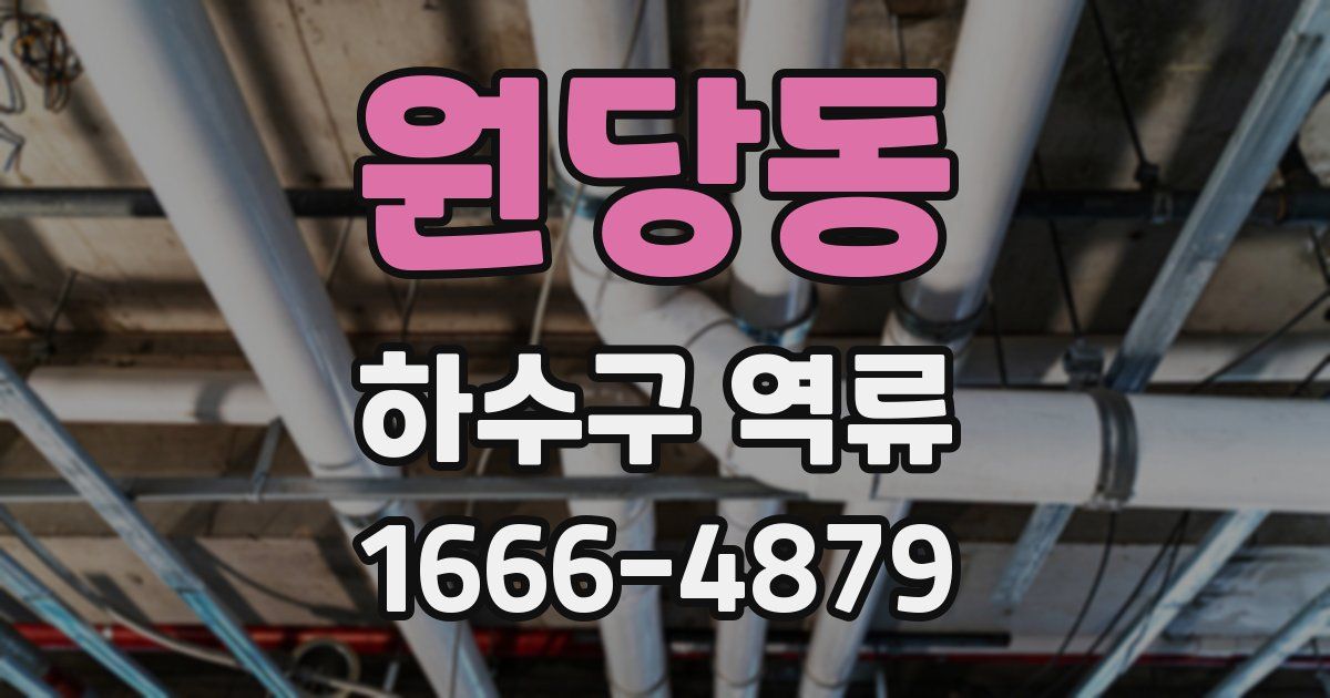 원당동 하수구 역류