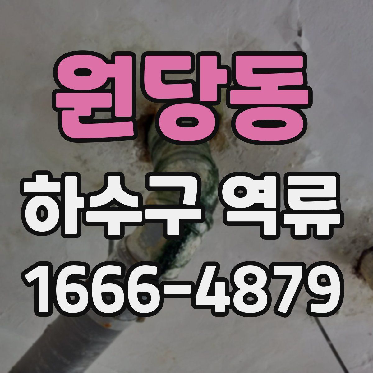 원당동 하수구 역류