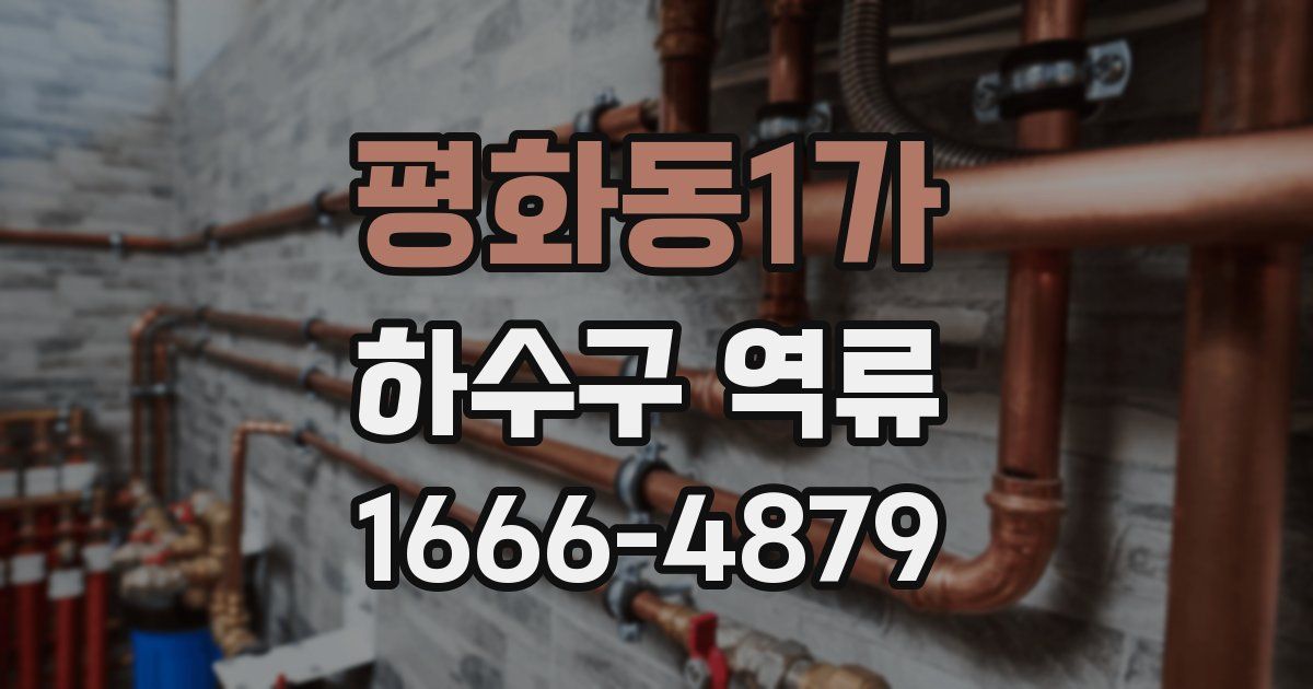 평화동1가 하수구 역류