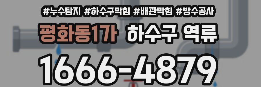 평화동1가 하수구 역류