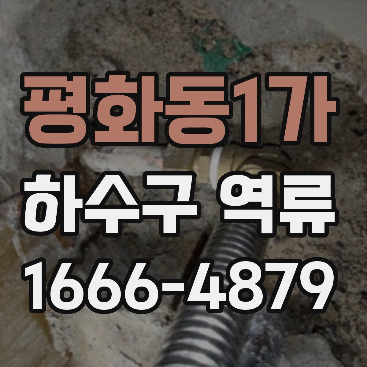 평화동1가 하수구 역류