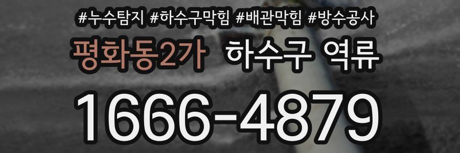 평화동2가 하수구 역류