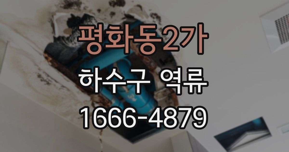 평화동2가 하수구 역류
