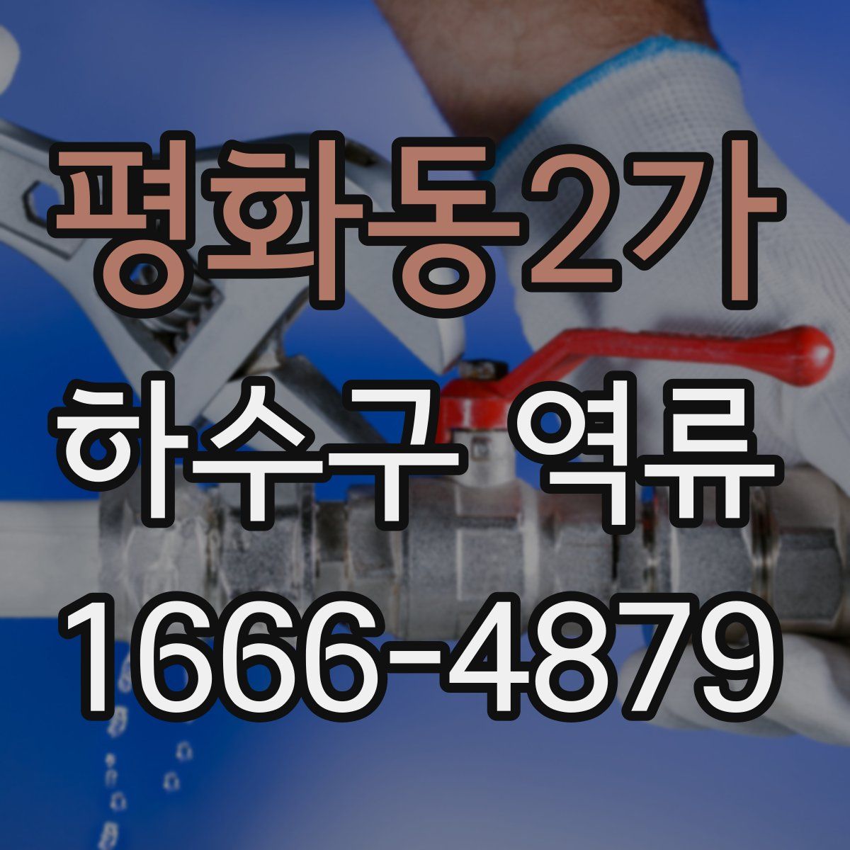 평화동2가 하수구 역류