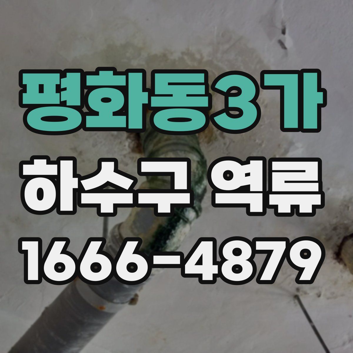 평화동3가 하수구 역류