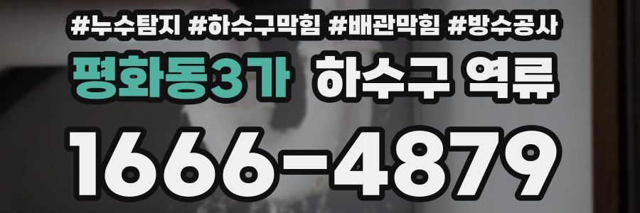 평화동3가 하수구 역류