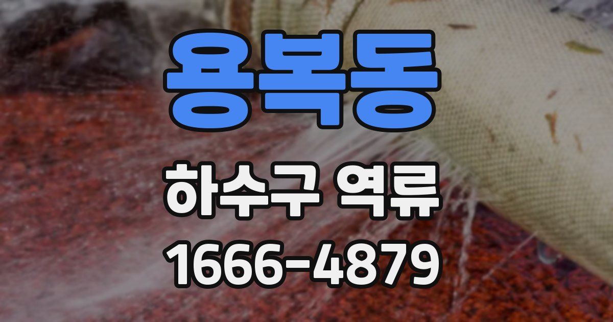용복동 하수구 역류