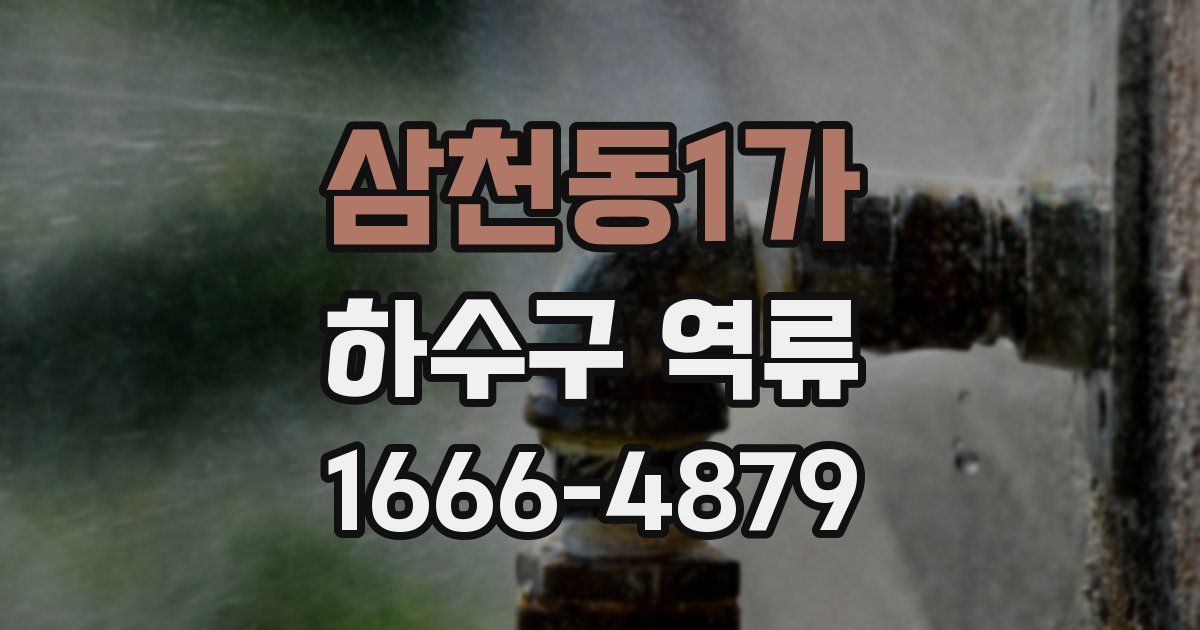 삼천동1가 하수구 역류