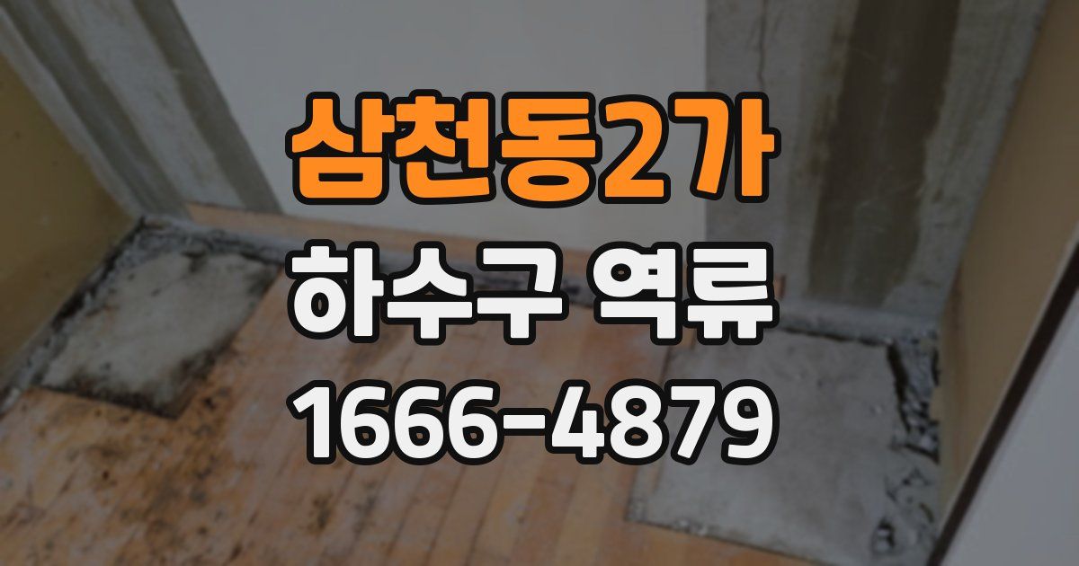 삼천동2가 하수구 역류