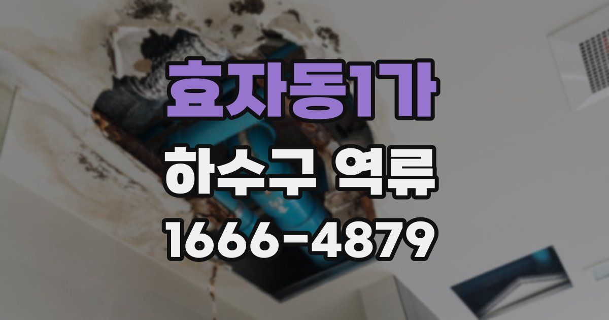 효자동1가 하수구 역류